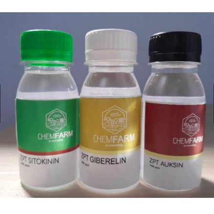 Paket Hemat Hormon ZPT (Giberelein , Sitokinin, Auksin)