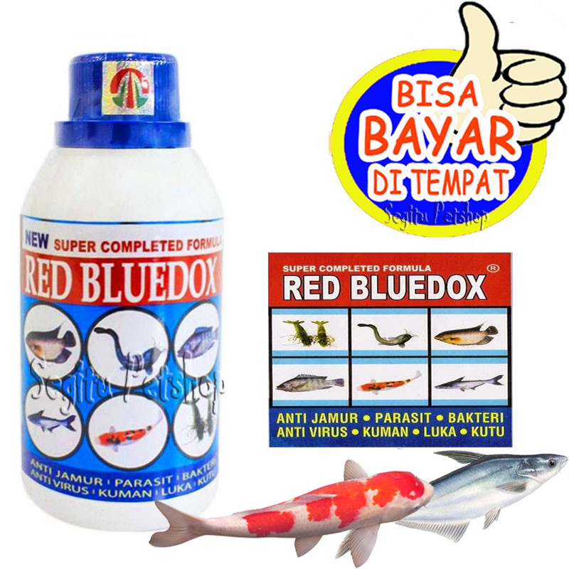 OBAT JAMUR IKAN GURAME MAS PATIN NILA LELE KOI ANTI VIRUS RED BLUEDOX