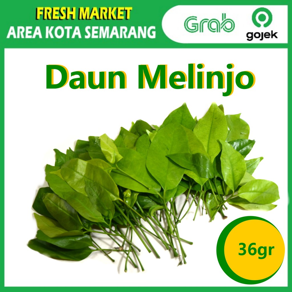 

[FRESH MARKET] Daun Sayur Melinjo Dapur Masakan 36gr KIRIM GRAB area kota semarang