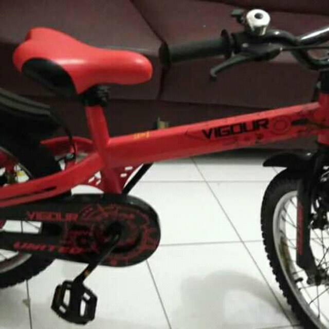 Sepeda anak United Vigour (Second)