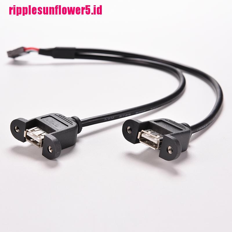 1pc Kabel Adapter Header Hitam 30cm / 1FT 2 Port USB A Female Ke Internal 9