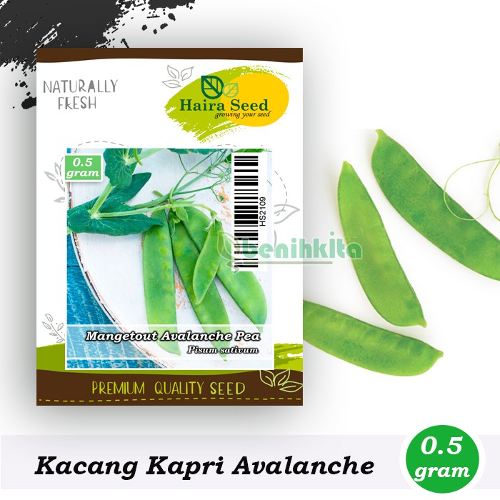 Benih-Bibit Kacang Kapri Avalanche (Haira Seed)