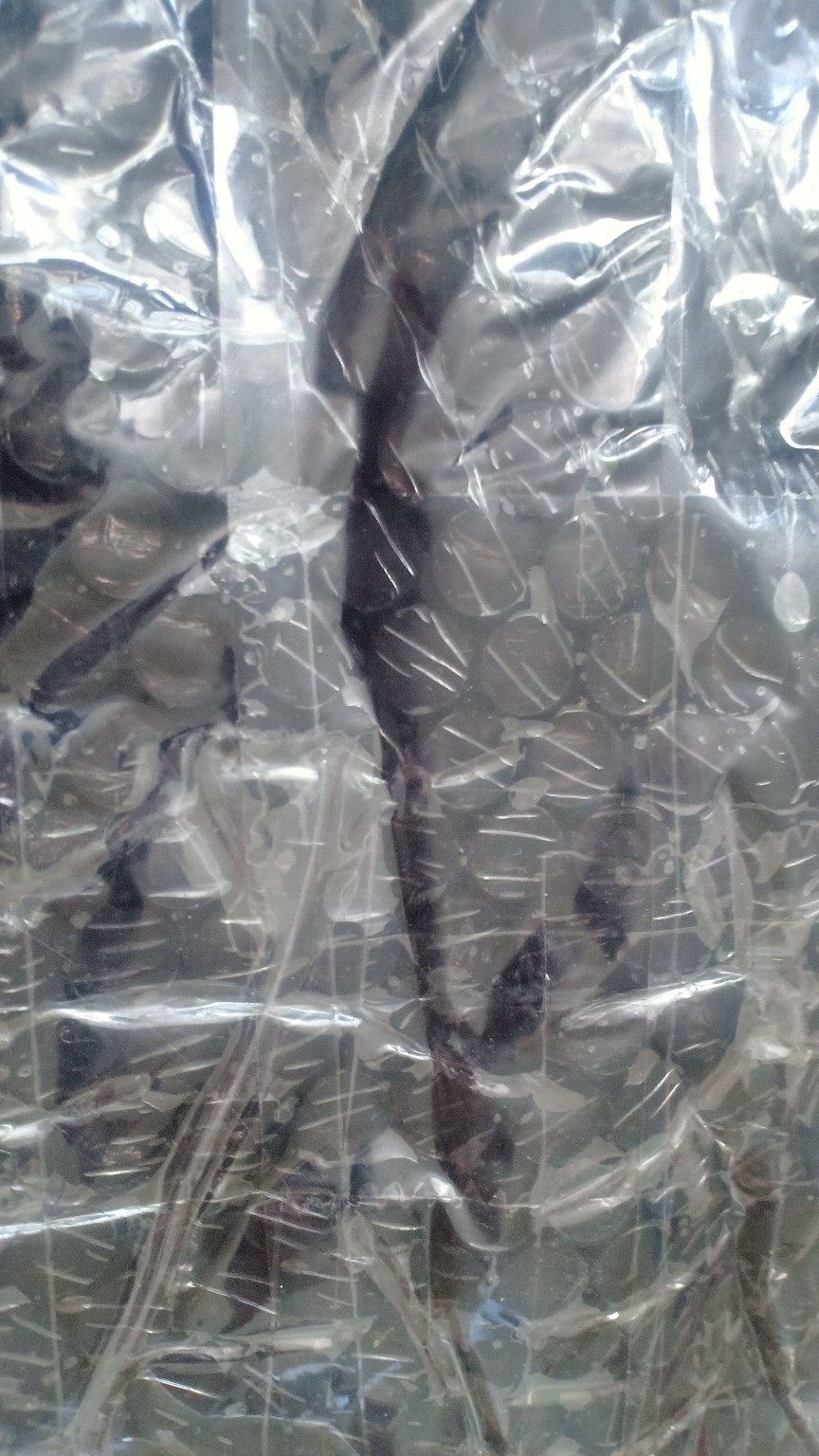 Murah Batik Kemeja Hem Pria Motif Prada Kombinasi Merah Baju Kantor Seragam Alkhalis