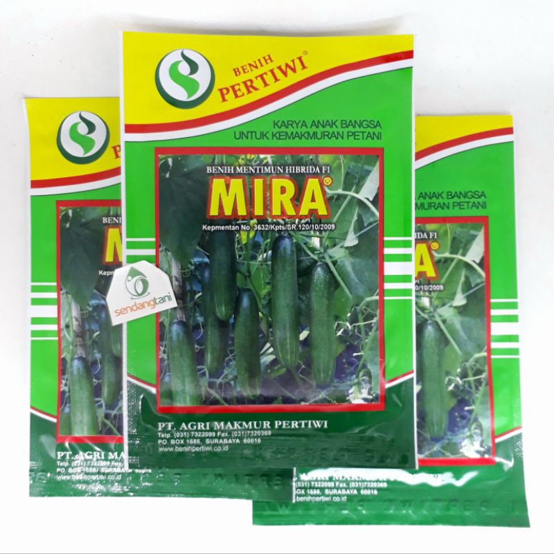 Benih Bibit Timun MIRA F1 Pertiwi Tahan Virus