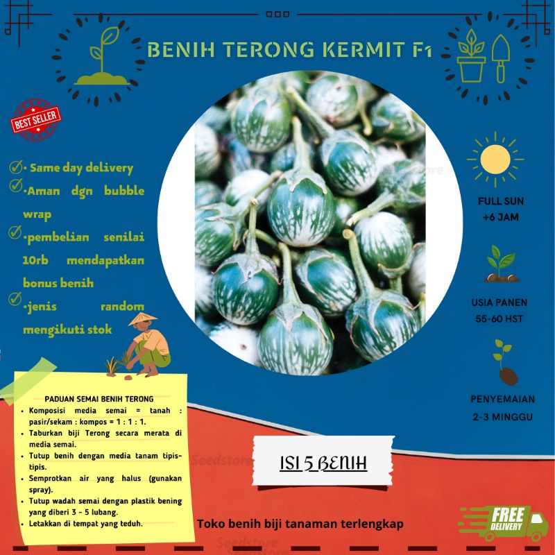 Jual Benih Terong Kermit Eggplant Seeds F Shopee Indonesia