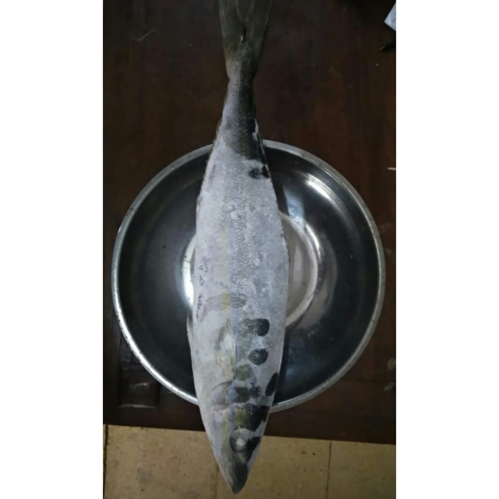 

Ikan Salam Frozen FreshMart 1 Kg