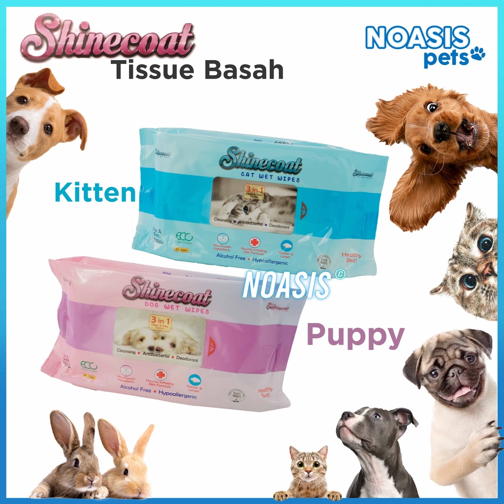 Tissue Basah Kucing Tisue Basah Anjing SHINECOAT CAT SHINECOAT DOG