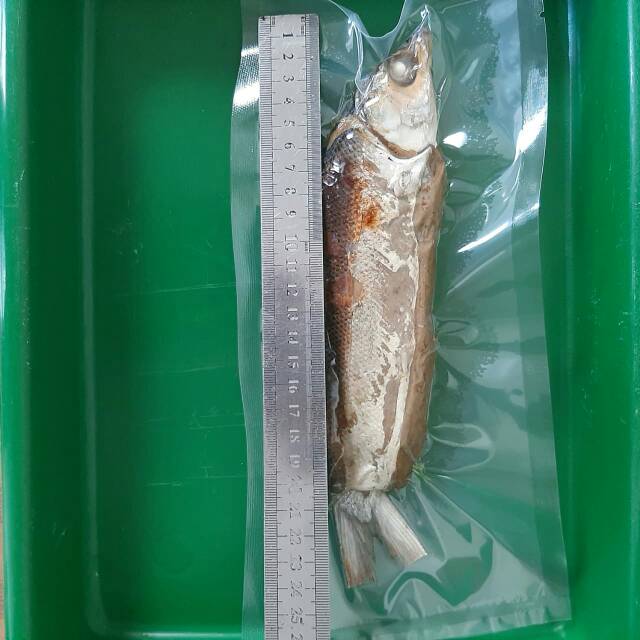 Otak otak bandeng sidoarjo