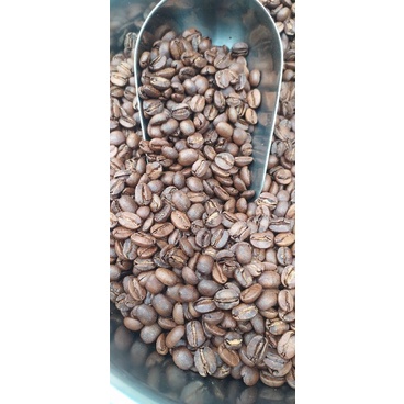

Biji Kopi Temanggung Robusta Rosting Gunung Sumbing