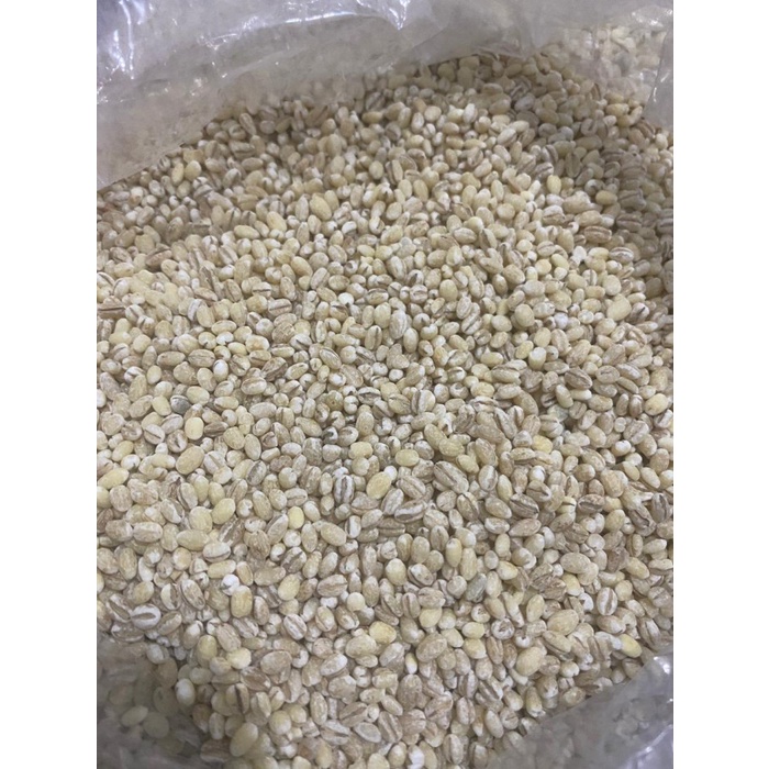 Jali Jali / Barley / Jelai / Hanjeli Import - 1000 gr / 1 Kg