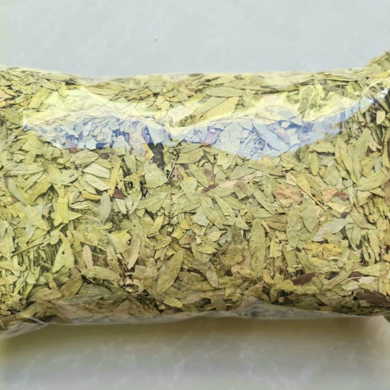 

Daun jati cina 50gr