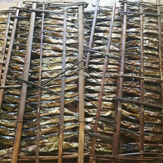 

ikan roa 1 gepe 20 ekor