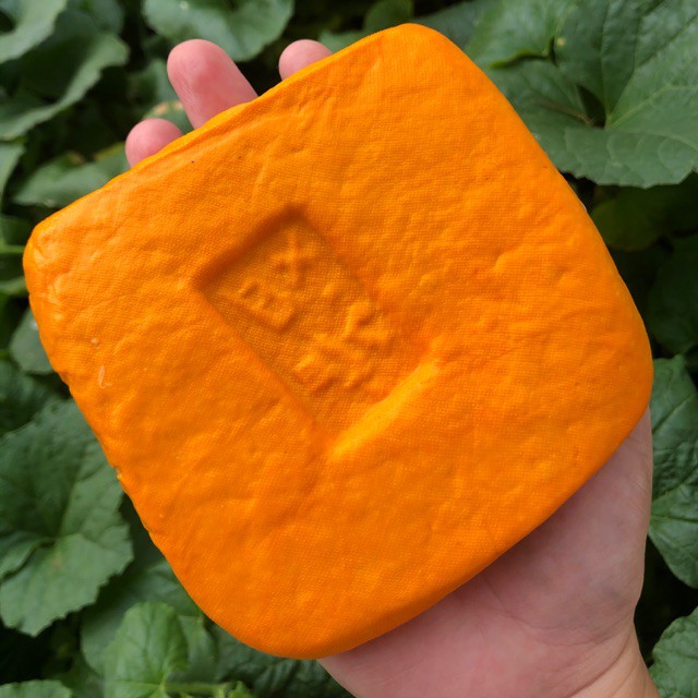 

FCW - Tahu Takwa / Tahu Orange per Pcs