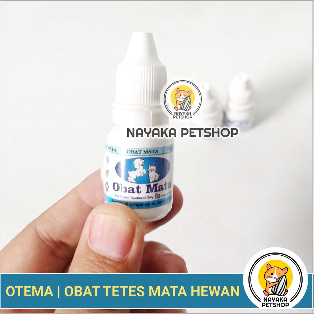 Otema Obat Tetes Mata Kucing Anjing Hewan