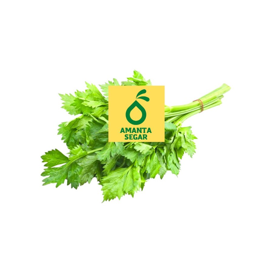 

Amanta Segar Bogor | Sayuran Sayur dan Bumbu Dapur Seledri Segar dan Fresh 250 gr Bogor