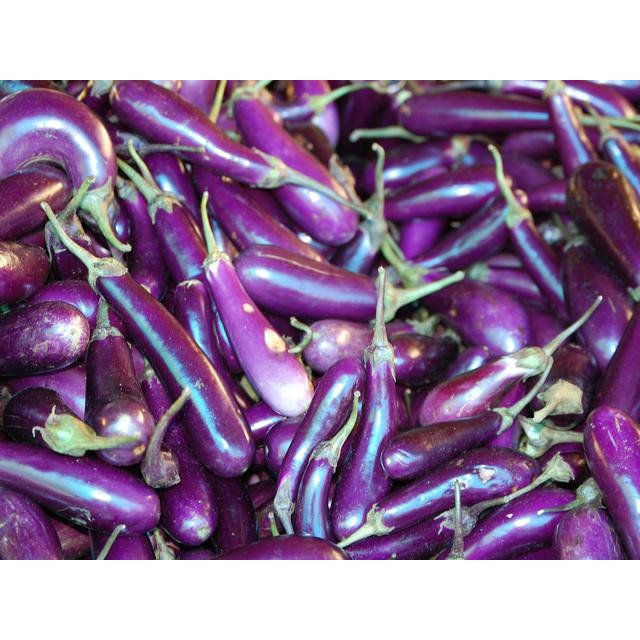 

terong ungu super paket hemat 250gr