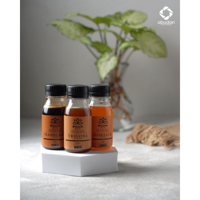 

Madu Murni BATAVIA bee Madu Mini Single