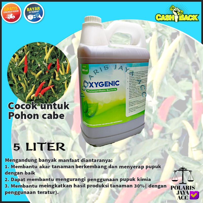 OXYGENIC BAKTERI FOTOSINTESIS PSB PUPUK CAIR TANAMAN 5 LITER