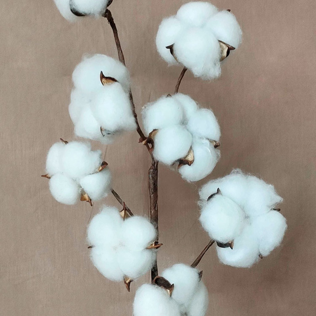 Artificial Cotton Flower 8 Flowers Bunga Kapas Cabang Palsu Hias Dekorasi