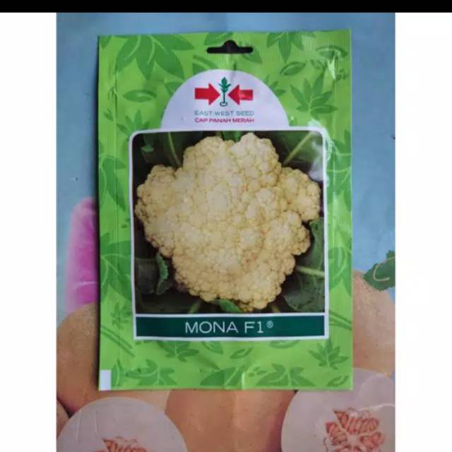 Benih Bunga Kol MONA F1