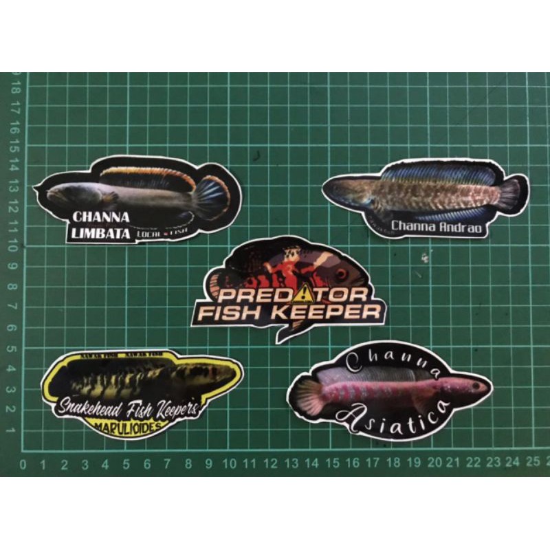 STIKER MINI AQUARIUM IKAN PREDATOR   01