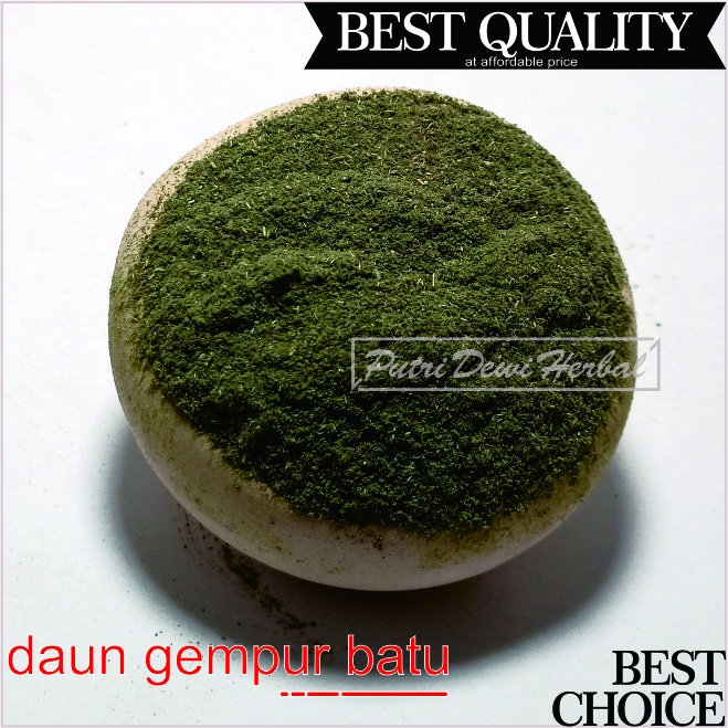 

Daun Gempur Batu Bubuk 500 Gram - Ruellia napifera Serbuk | Ruelias Powder