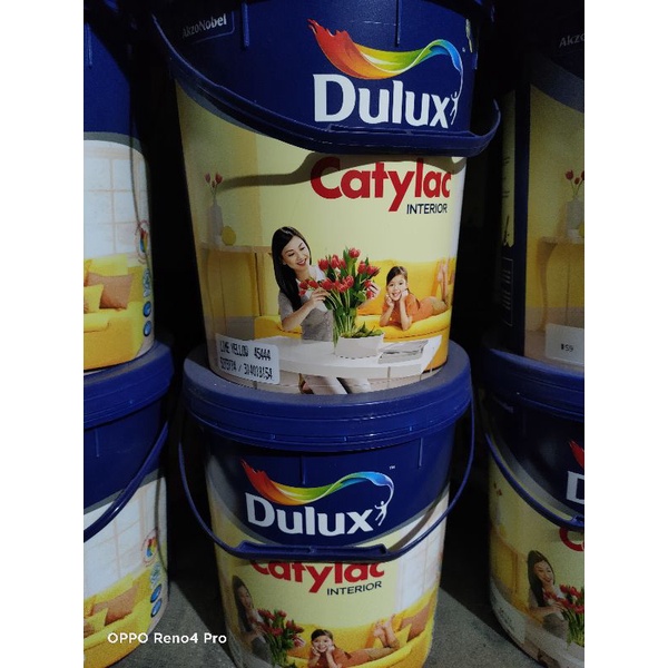 Dulux Catylac Interior 5 kg