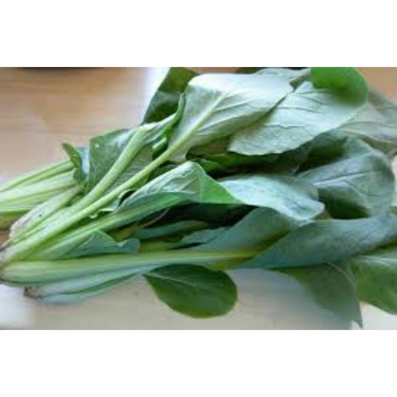 

CAISIM/SOSIN/NIURAME