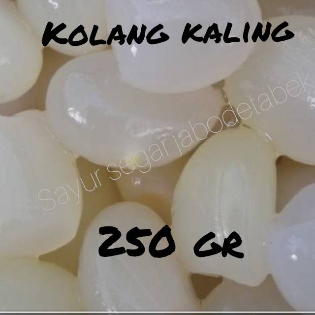 

Kolang kaling