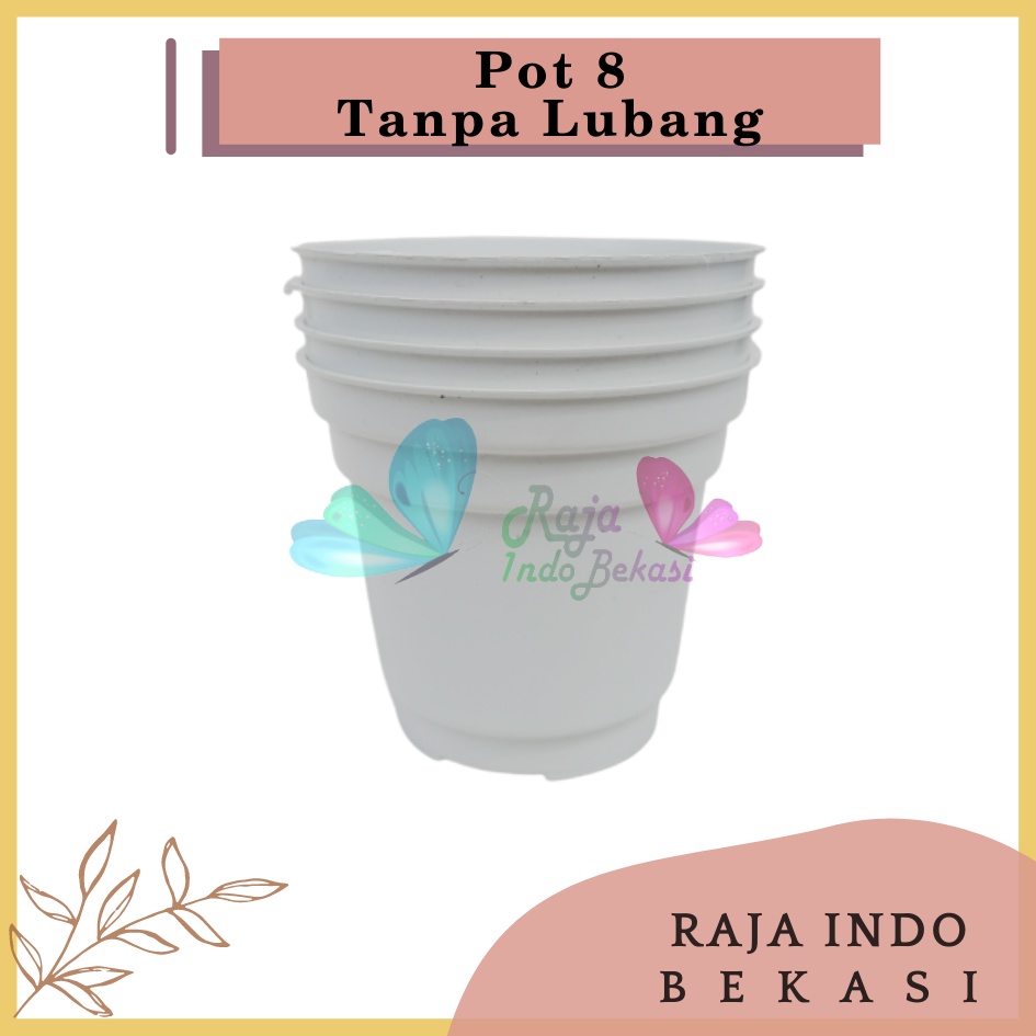 Pot Gol 8 Cm Putih Kecil Kaktus | Ice Cream Pot Tanpa Lubang 8 Cm Pot Hidroponik Pot Es Krim 8cm