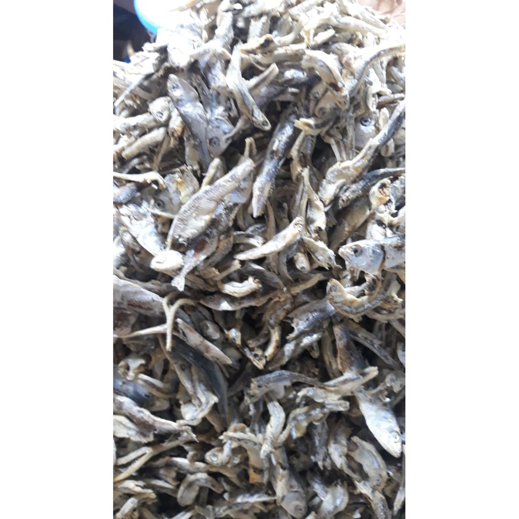 

IKAN GEMBUNG TERI 1 kg