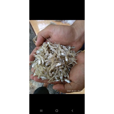 

teri asam bilis bengkalis 1kg