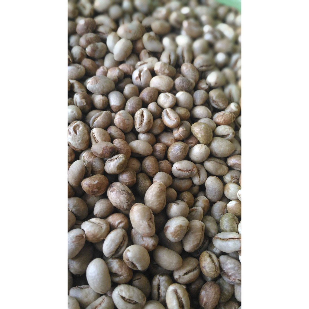 Jual Green Beans Kopi Lanang Peaberry Coffee Robusta Kg Shopee Indonesia