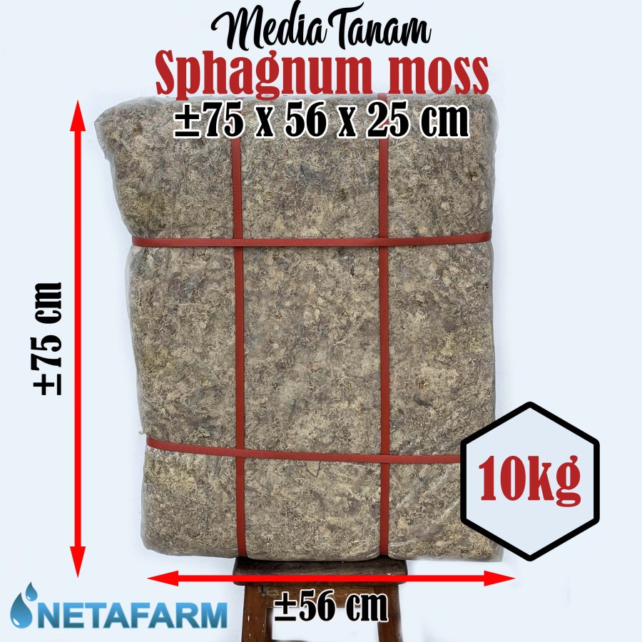 Media Tanam - SPHAGNUM MOSS 10 KG