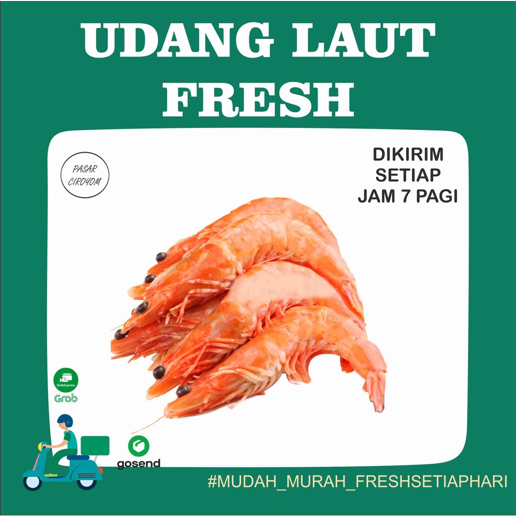 

PROMO UDANG LAUT FRESH MURAH BANDUNG