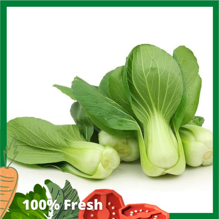 

Sayuran Segar Sayur Jakarta FRESH Pakchoy 100 Gram