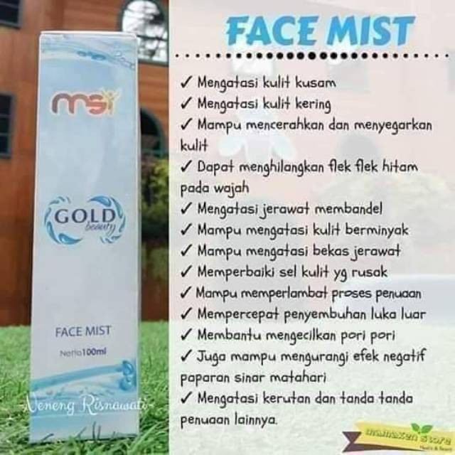 Face mist msi
