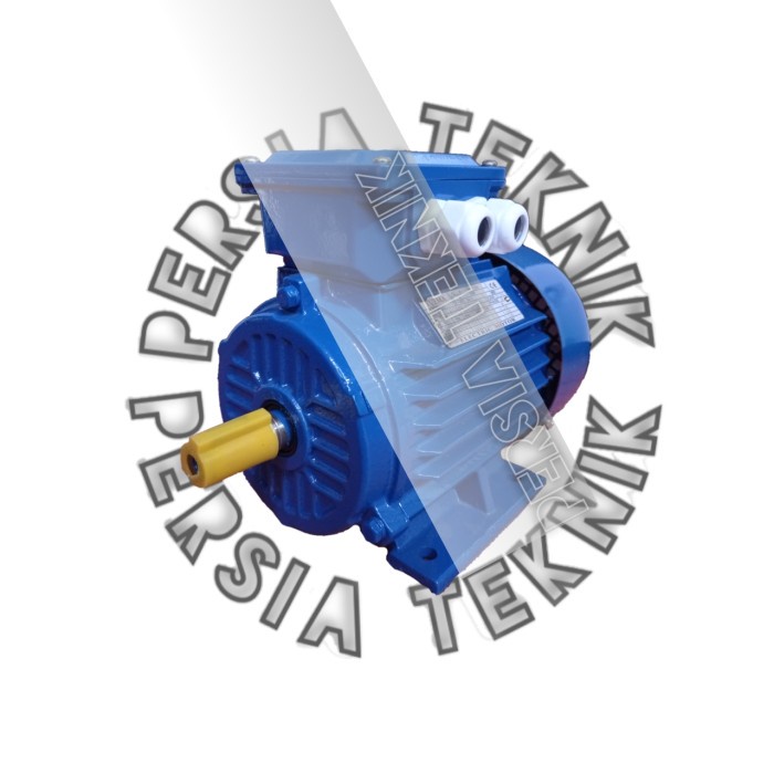 IOP | Electric Motor YUEMA 3 PHASE Dinamo penggerak