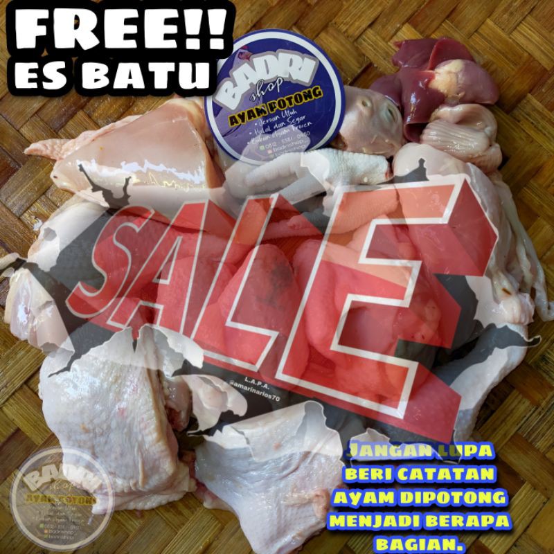 

SALE! 100RIBU 3 EKOR AYAM SEGAR(NO FROZEN)