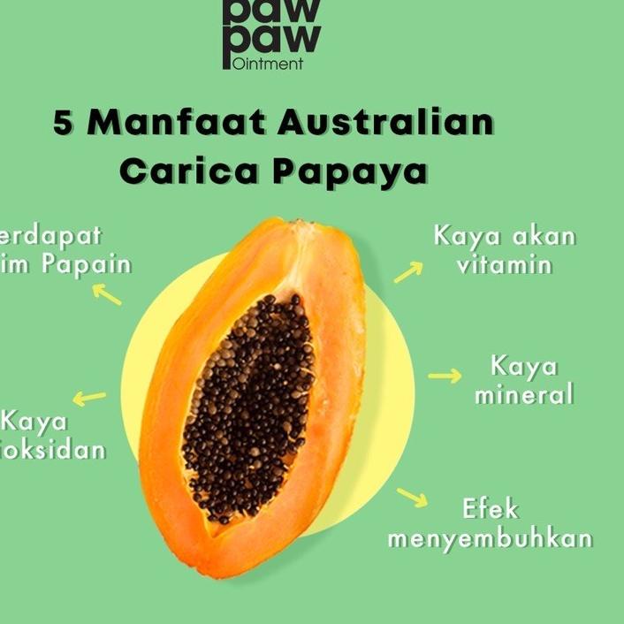 ➾ [] PURE PAW PAW Ointment 25gr Like Lucas Papaw Lipbalm - Lip / Skin Care Untuk Segala Usia ۩