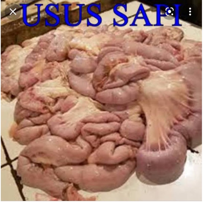 

usus sapi