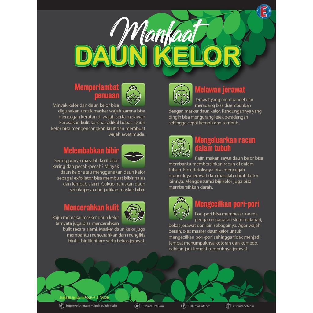 Apa manfaat daun kelor