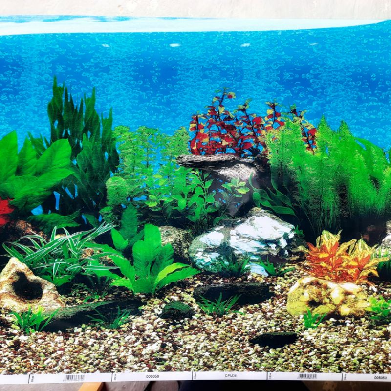 Wallpaper Aquarium 3d Kualitas Besar | zflas