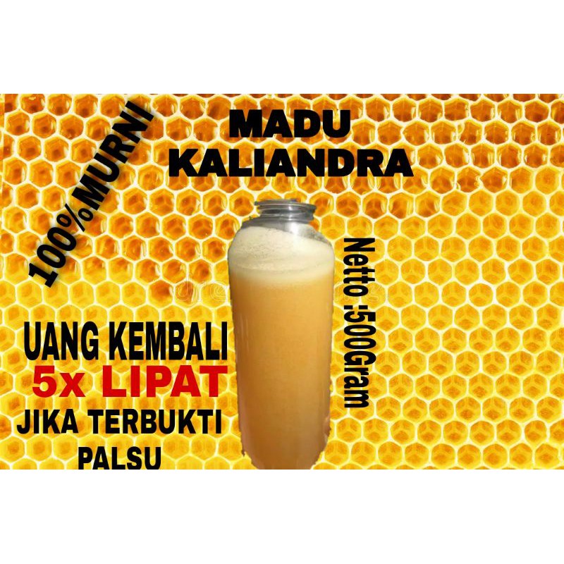 

madu caliandra