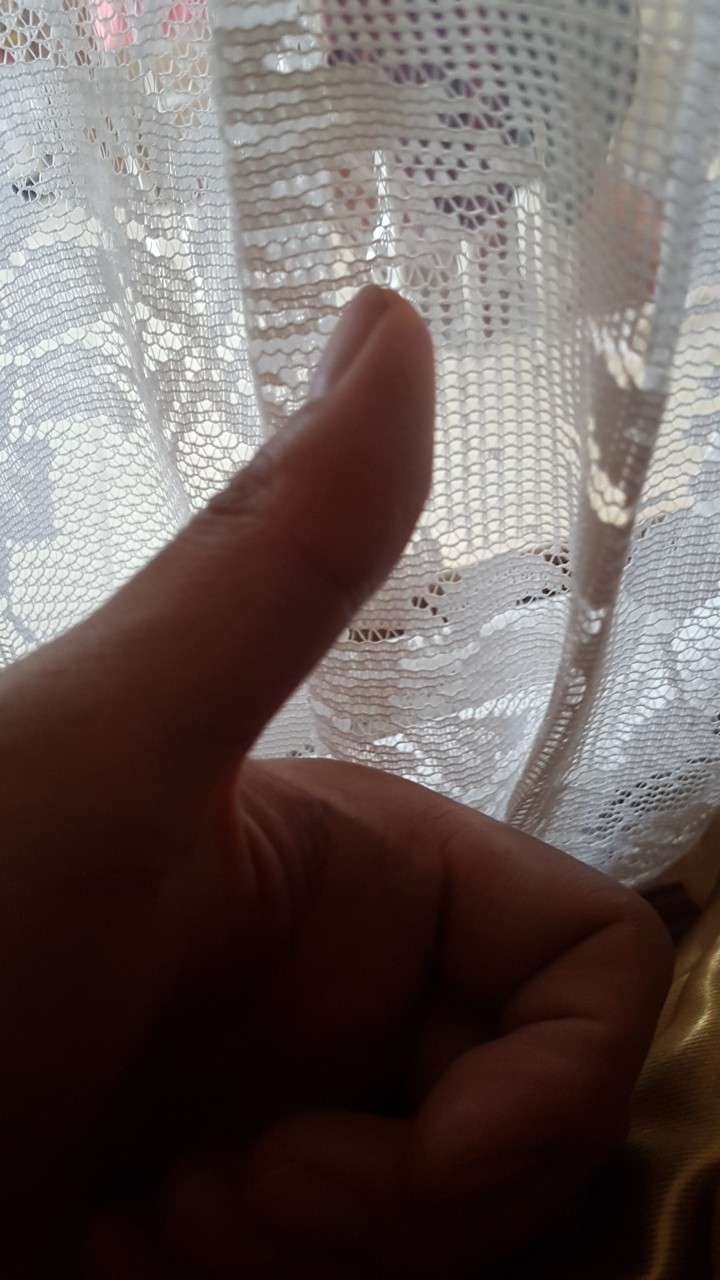 Parafilm M, Untuk Grafting/okulasi Ukuran 4 X 10 (10cm X 25cm)