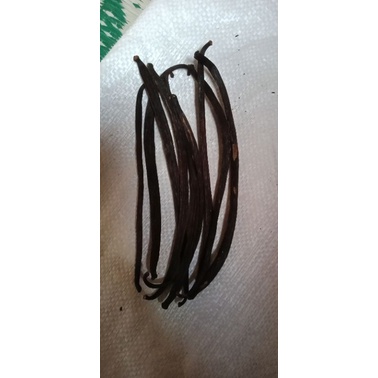

vanili kering,vanili planifolia,vanili wangi