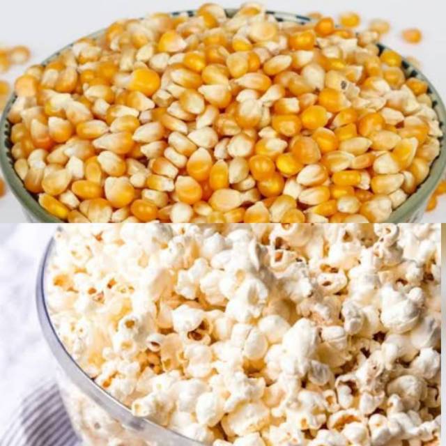 

250gr Jagung Popcorn mentah siap pakai
