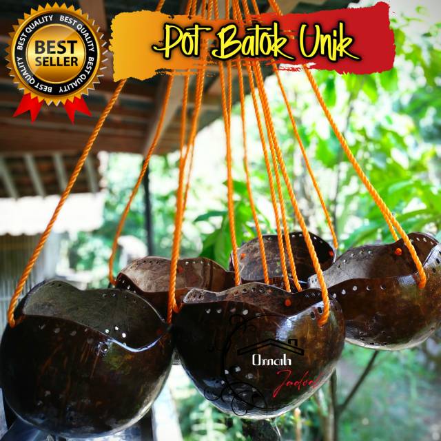 Pot bunga BATOK KELAPA UNIK / pot anggrek / pot gantung / vas bunga