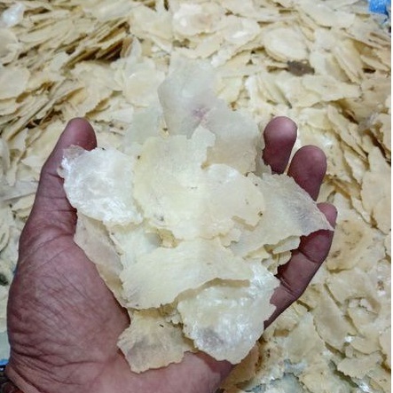 

Emping Melinjo LB Pecahan Mentah/Emping Sortiran Peking/Rasa Originall/Kemasan 500 gram