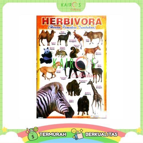Poster Anak Belajar Binatang Hewan Herbivora